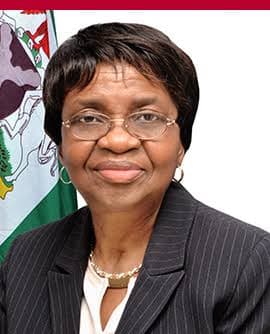 Professor Moji Christianah Adeyeye